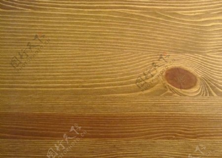 木纹纹理机理图片