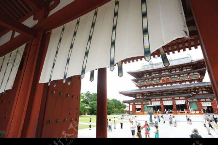 奈良药师寺图片
