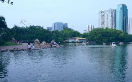 荔枝公园深圳图片