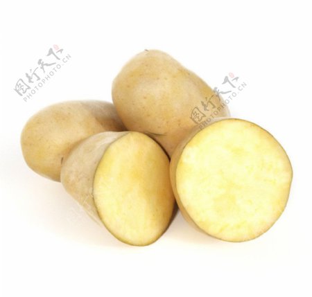 土豆三维模型图片