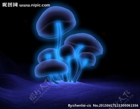 发光的蘑菇图片