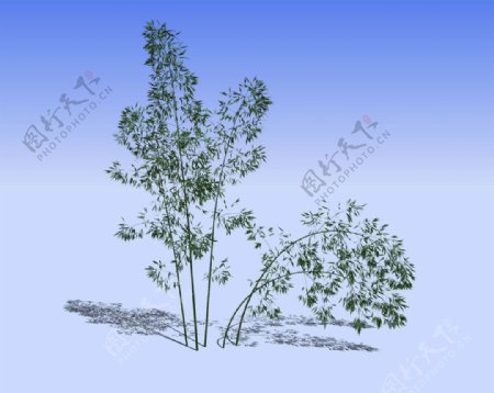 竹丛精细3D模型图片
