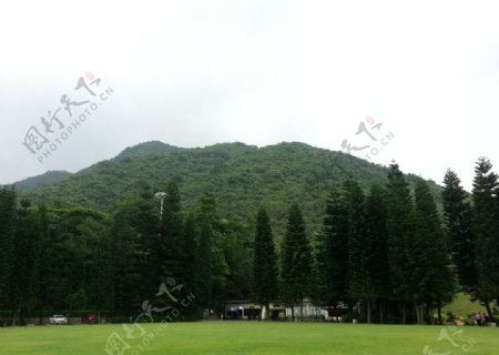 仙湖植物园景观图片