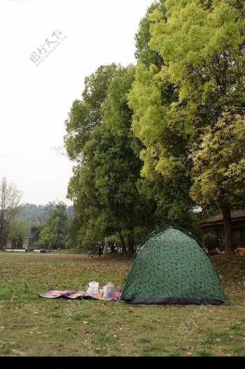 野外露营帐篷草地图片