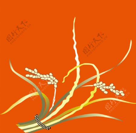 稻子图案设计图片