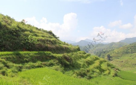 绿色乡村农村景色图片