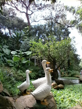 白天鹅雕塑品公园景图片