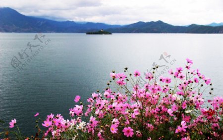 大爱泸沽湖图片