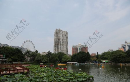 漳州九龙公园图片
