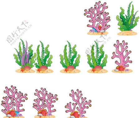 卡通水草珊瑚图片