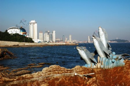 海豚雕塑与海边建筑相图片