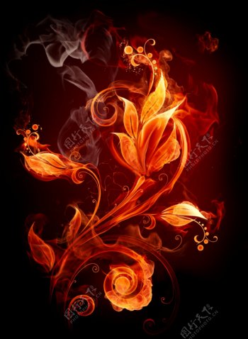 火焰花朵合层图片