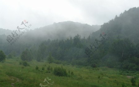 云山雾罩图片