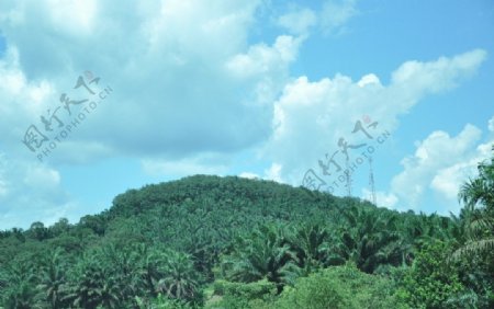 马来西亚热带风情照片图片