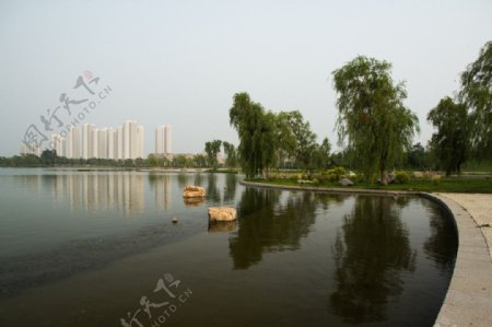 莲花湖边图片