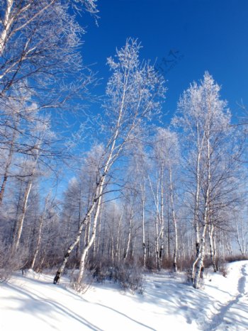 冬天五峰山风景图片
