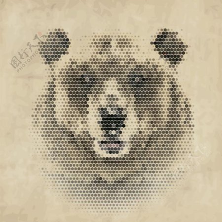 棕熊熊头图片