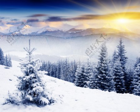 山上雪景图片