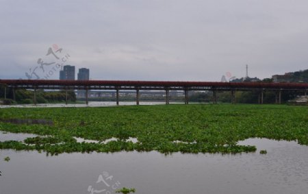木兰陂水库图片