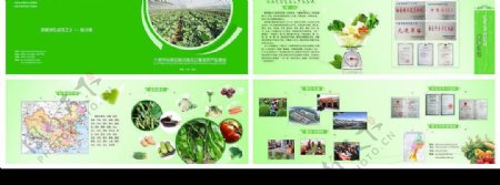 蔬菜产业画册设计图片