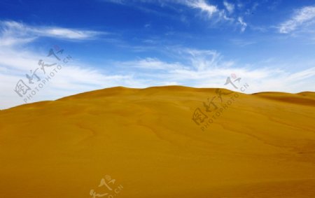 金色的沙丘图片
