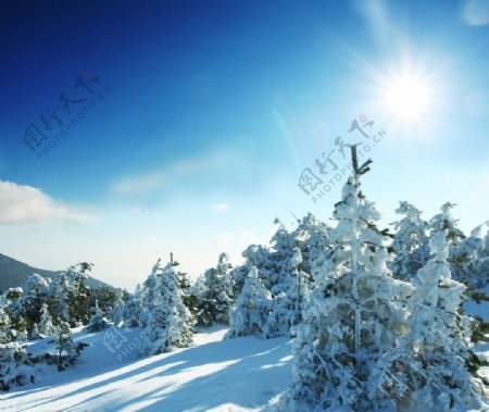 冬季雪景图片