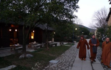 灵隐僧侣散步图片
