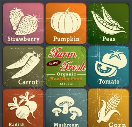 复古蔬菜标签图片