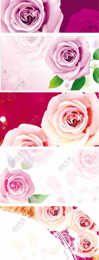手绘玫瑰花纹背景图片