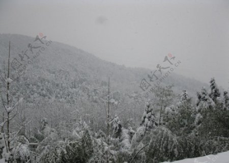 大雪过后的山丘图片
