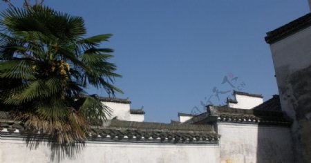 宏村屋顶一览图片