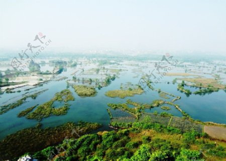 桂林会仙湿地图片