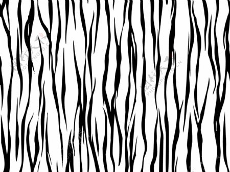 豹纹斑马纹图片