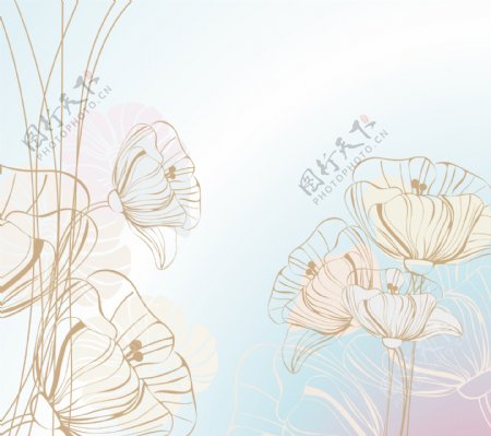 手绘花卉花朵背景图片