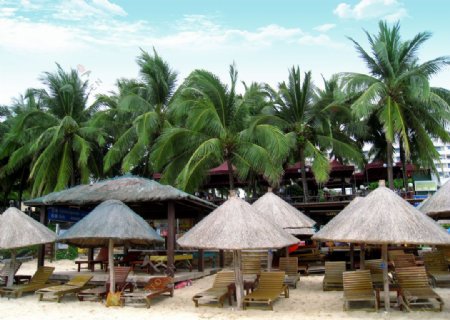 三亚的椰树林沙滩茅亭图片
