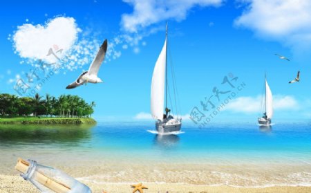 海边帆船海鸥图片