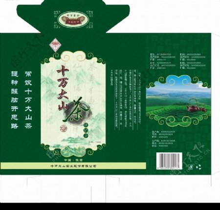 十万大山茶图片