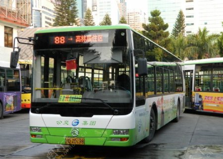新能源公交图片