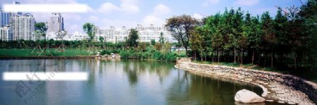 上海绿化景观图片