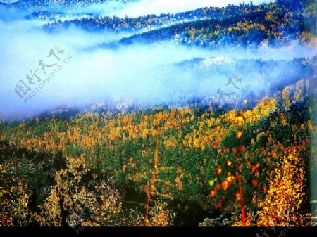 林海秋雾图片