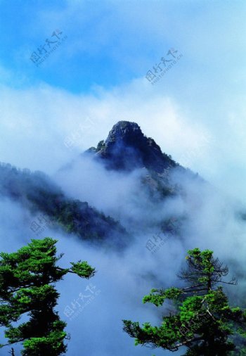 高山雲霧图片