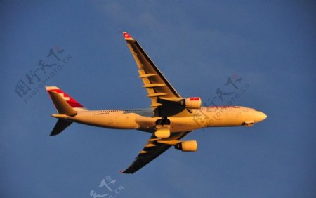 空客A330远程客机图片