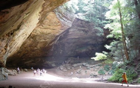 林中洞穴图片