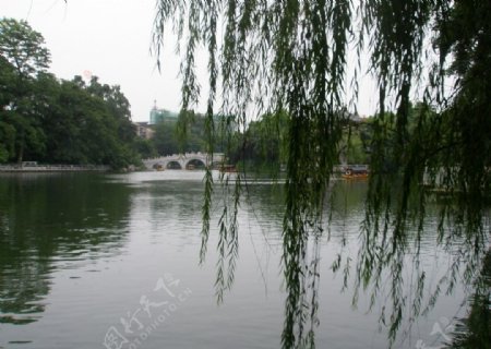 柳候公园内湖图片