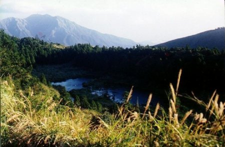 陽明山夢幻湖图片