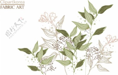 韩国手绘花卉图片