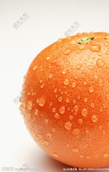 橙子水珠图片