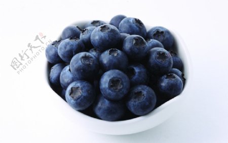 蓝莓一碗蓝莓图片