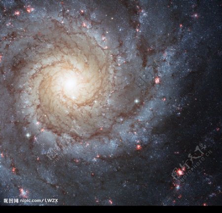 M74旋涡星系图片