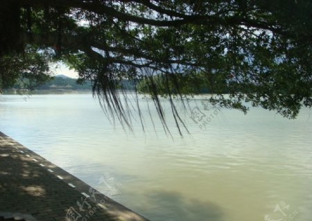 广东惠州西湖美景图图片